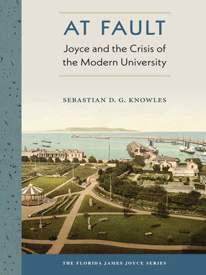 cover image of At Fault